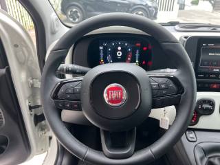 FIAT Panda usata, con Controllo vocale