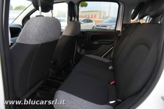 FIAT Panda usata 12