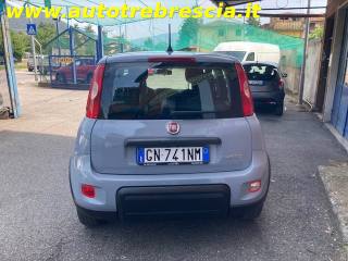 FIAT Panda usata, con Antifurto
