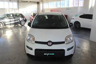 FIAT Panda usata, con Airbag