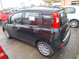 FIAT Panda usata, con Immobilizzatore elettronico