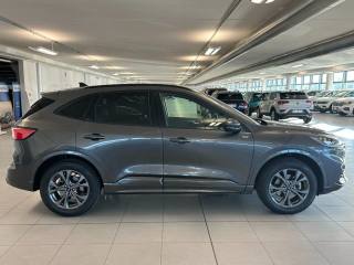 FORD Kuga usata, con Cronologia tagliandi