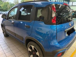 FIAT Panda Cross usata, con Chiusura centralizzata