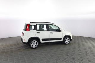 FIAT Panda usata 2