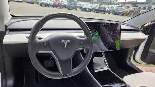 TESLA Model 3 usata, con Cruise Control