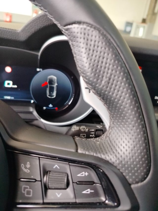 ALFA ROMEO Stelvio usata 35