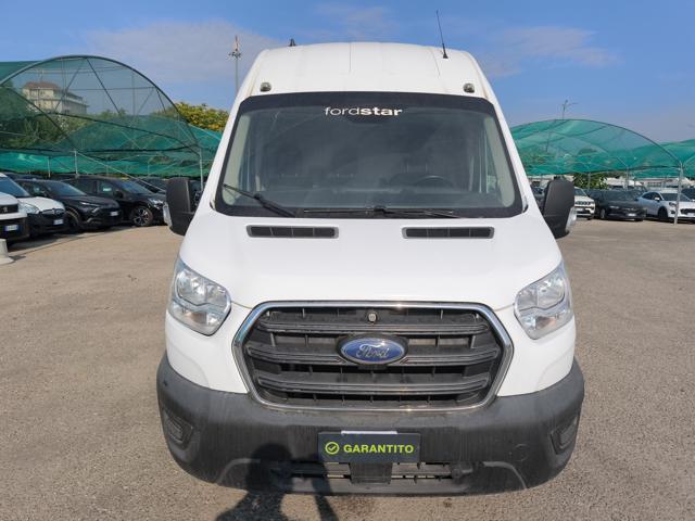 FORD Transit usata, con Fendinebbia