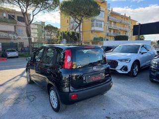 FIAT Panda usata, con Antifurto