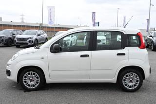 FIAT Panda usata, con Climatizzatore