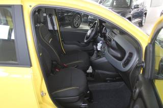 FIAT Panda usata, con Controllo trazione