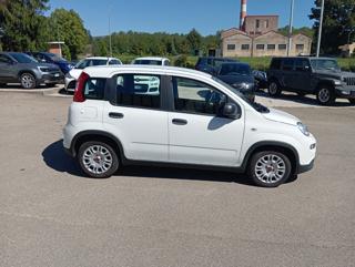FIAT Panda usata, con Alzacristalli elettrici