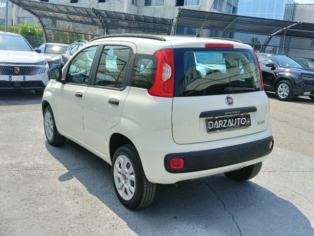 FIAT Panda usata 20