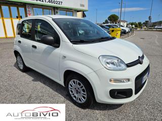 FIAT Panda usata 16