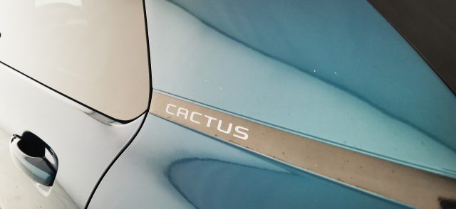 CITROEN C4 Cactus usata, con Specchietto retrovisore con funzione antiabbagliamento