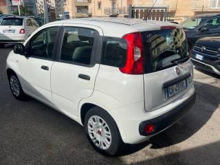 FIAT Panda usata, con Antifurto