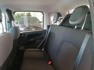 FIAT Panda usata 36