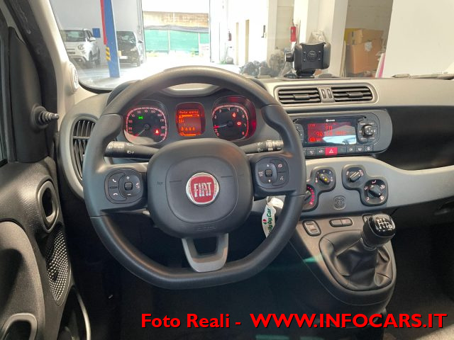 FIAT Panda usata, con Volante multifunzione