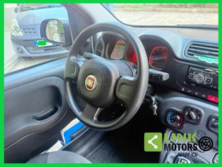 FIAT Panda usata 24