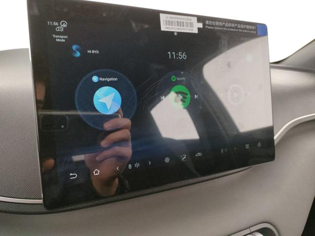 BYD Dolphin Surf usata, con ESP