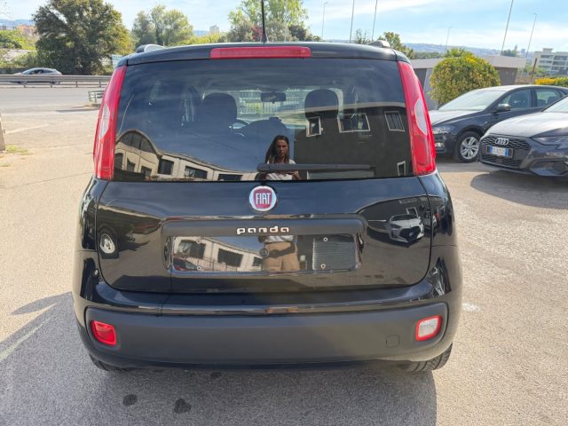 FIAT Panda usata 3