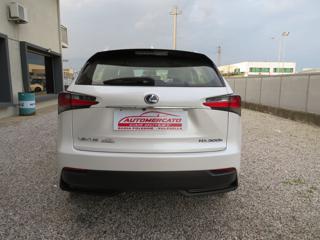 LEXUS NX 300 usata, con Antifurto