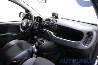 FIAT Panda usata 47