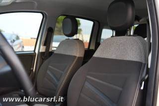 FIAT Panda usata 9