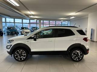 FORD EcoSport usata, con Alzacristalli elettrici