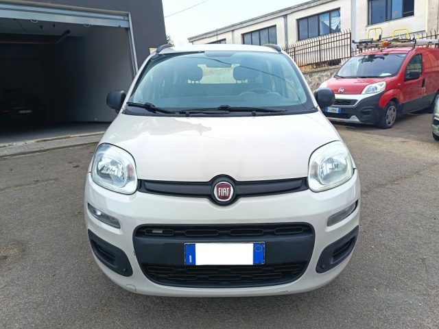 FIAT Panda usata 2