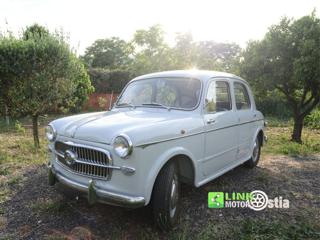 FIAT 1100 usata 2