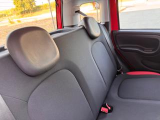FIAT Panda usata 22