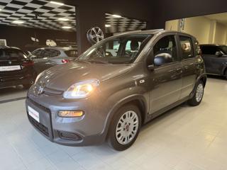 FIAT Panda usata, con Airbag laterali