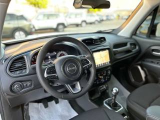 JEEP Renegade usata, con Chiusura centralizzata