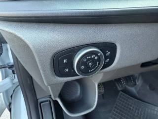 FORD Transit Custom usata 20