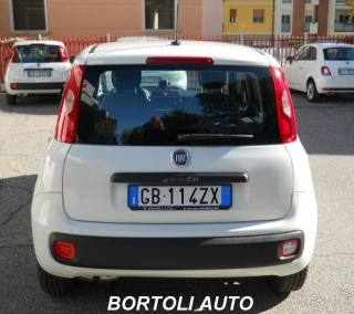 FIAT Panda usata, con Airbag Passeggero