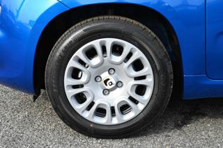 FIAT Panda usata, con Cruise Control