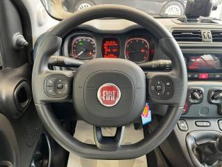 FIAT Panda usata, con Controllo trazione