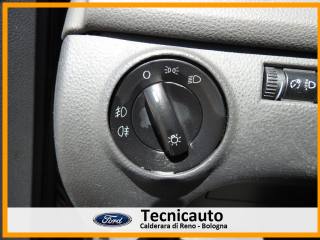 VOLKSWAGEN Polo usata 19