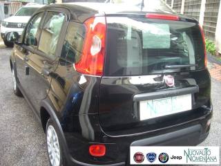FIAT Panda usata, con Volante multifunzione