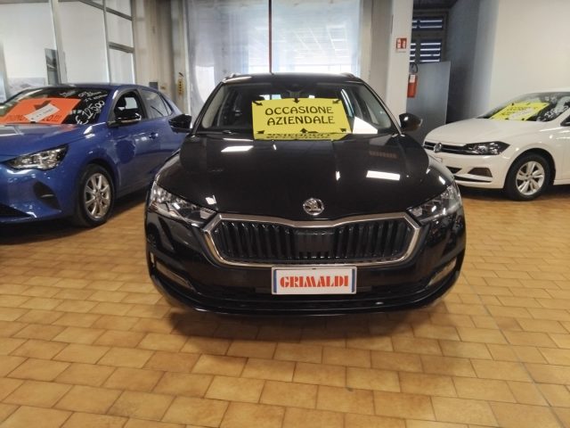 SKODA Octavia usata, con Airbag