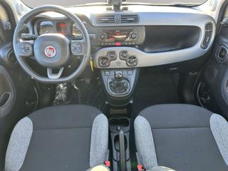 FIAT Panda usata, con Cronologia tagliandi