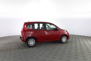 FIAT Panda usata 2