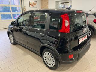 FIAT Panda usata, con Airbag Passeggero