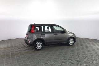 FIAT Panda usata 2