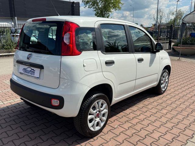 FIAT New Panda usata, con Controllo trazione