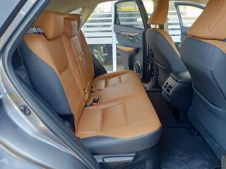 LEXUS NX 300 usata, con Autoradio