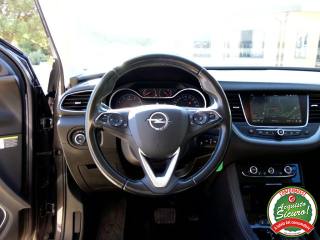 OPEL Grandland X usata, con Cruise Control