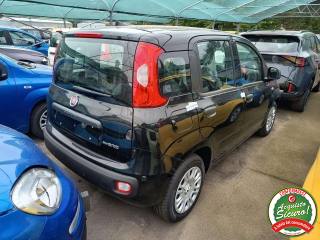 FIAT Panda usata, con Autoradio