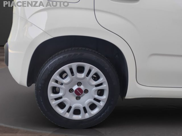 FIAT Panda usata 23