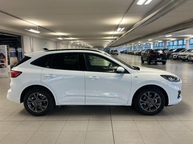 FORD Kuga usata, con Controllo trazione